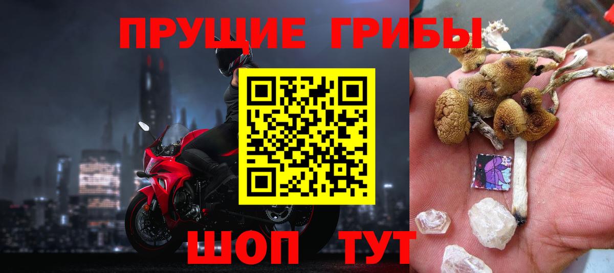 Галлюциногенные грибы Psilocybe  Вход с VPN  Скопин 